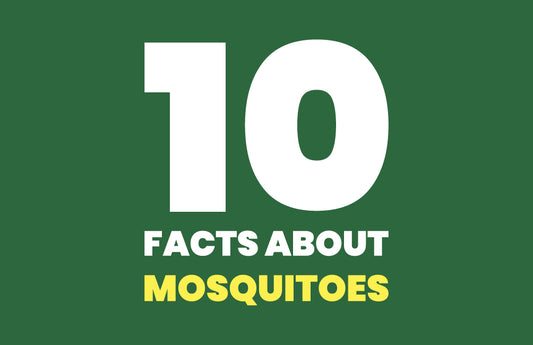 10 Interesting Facts About Mosquitoes