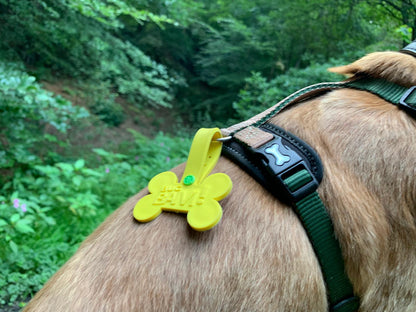 Mosquito, Flea & Tick Pet Tags